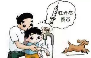 最新狂犬病發(fā)作視頻，理解與應對的挑戰(zhàn)