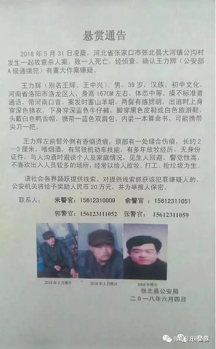 網(wǎng)上最新通緝犯名單，社會(huì)安全的警鐘長(zhǎng)鳴