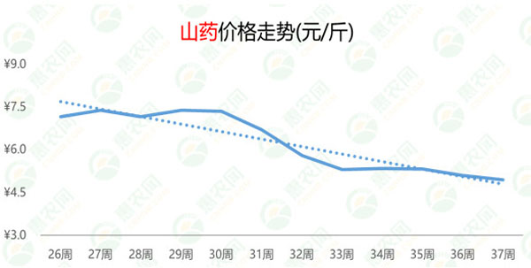 山藥價(jià)格最新行情